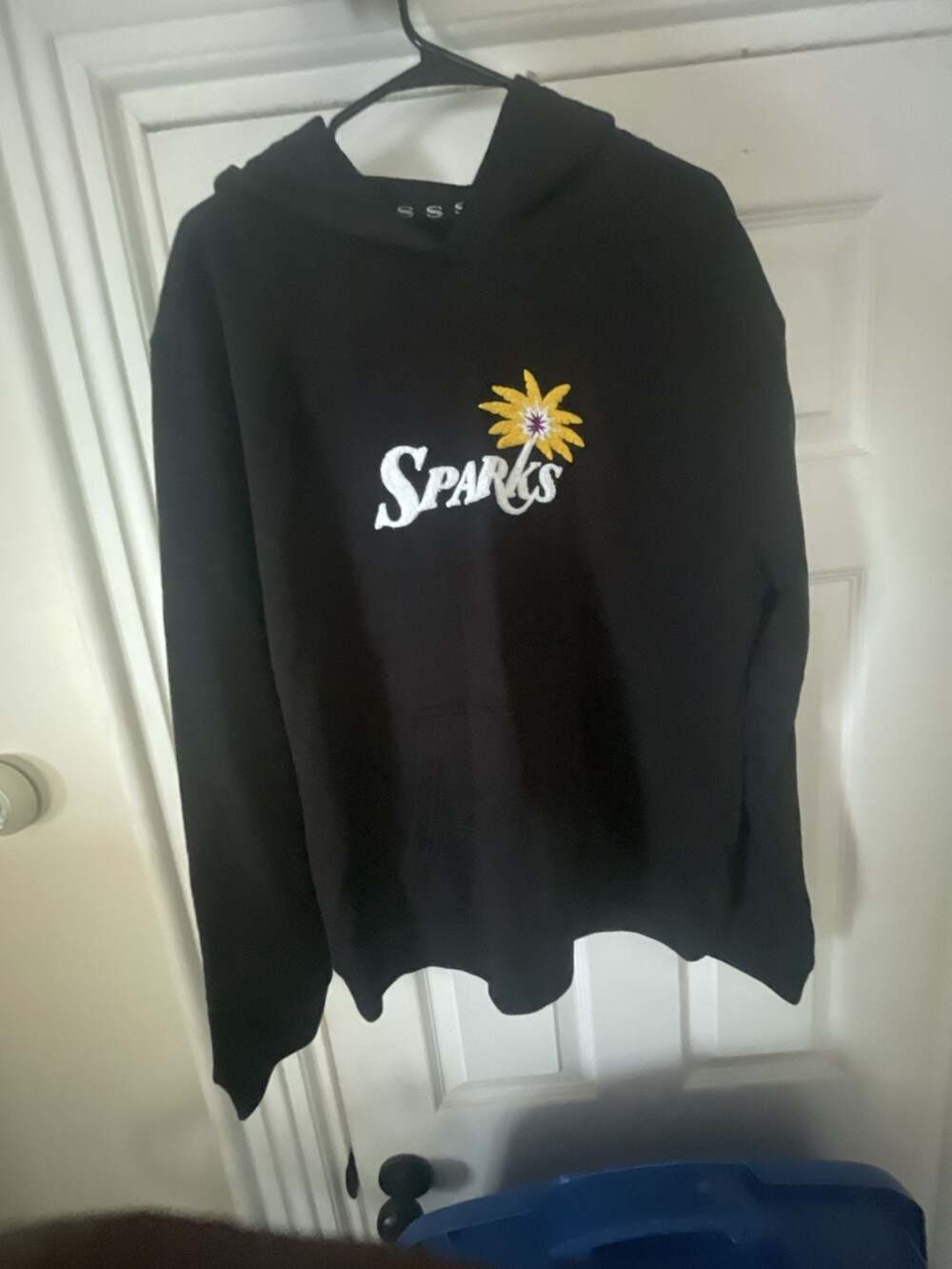 Los Angeles Sparks WNBA Black Pullover Hoodie with Palm Tree Logo